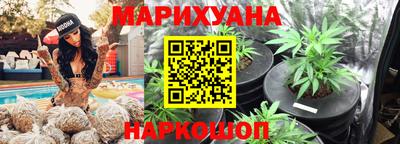 прущие крисы Кингисепп