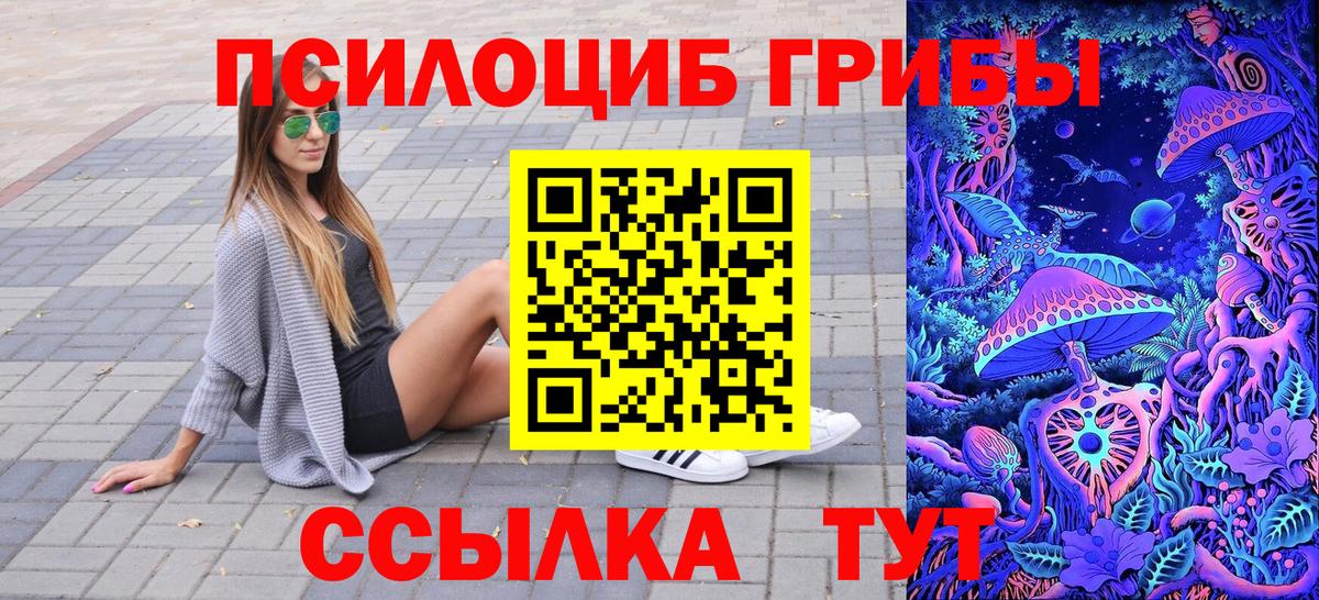 Галлюциногенные грибы Cubensis Котлас