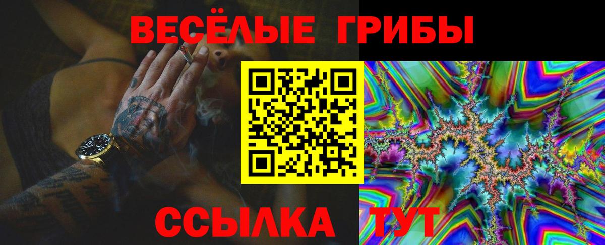 Псилоцибиновые грибы Cubensis  Вход с VPN  как найти наркотики  Котлас 