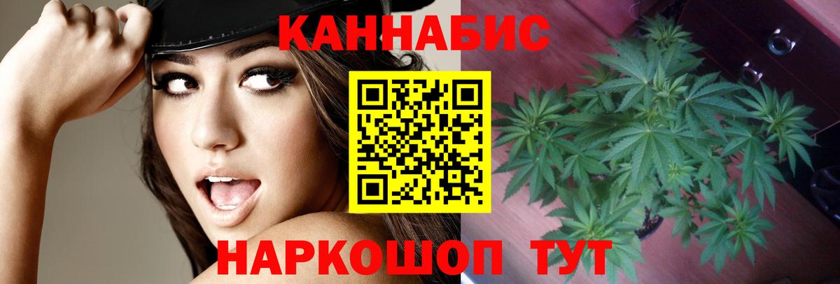 Шишки марихуана семена  Марихуана индика  Конопля VHQ  Котлас  Бошки марихуана Bruce Banner  Вход с VPN 